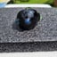 Small image 9