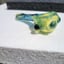 Small image 6