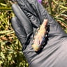 Small image 4