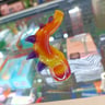 Small image 4