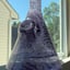 Small image 6