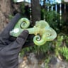 Small image 3