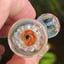 Small image 5