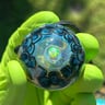 Small image 0