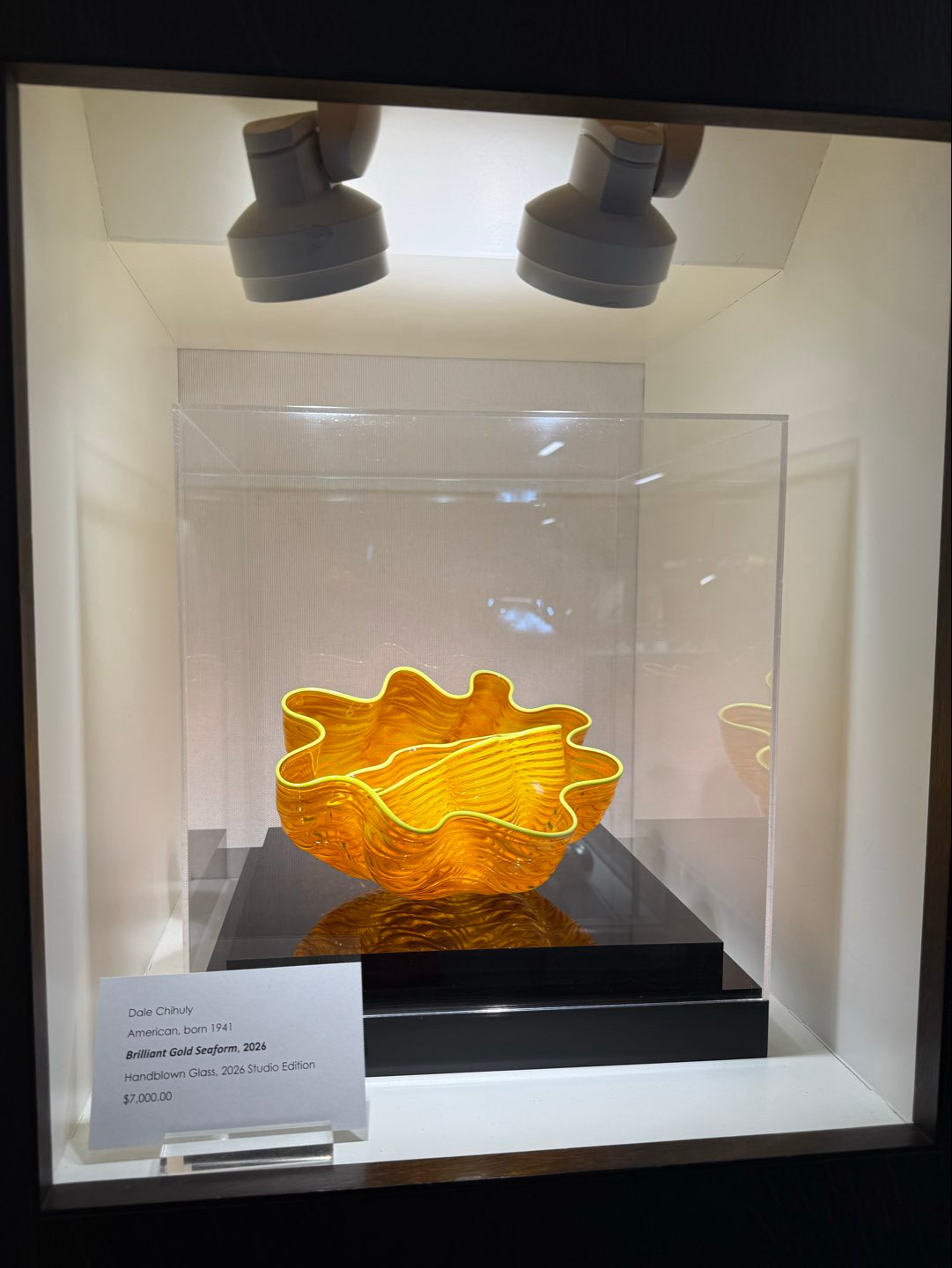 Preview pic of Brilliant Gold Seaform, 2026