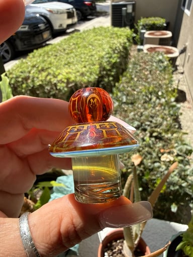 Preview pic of Mothership cap for bigger buckets