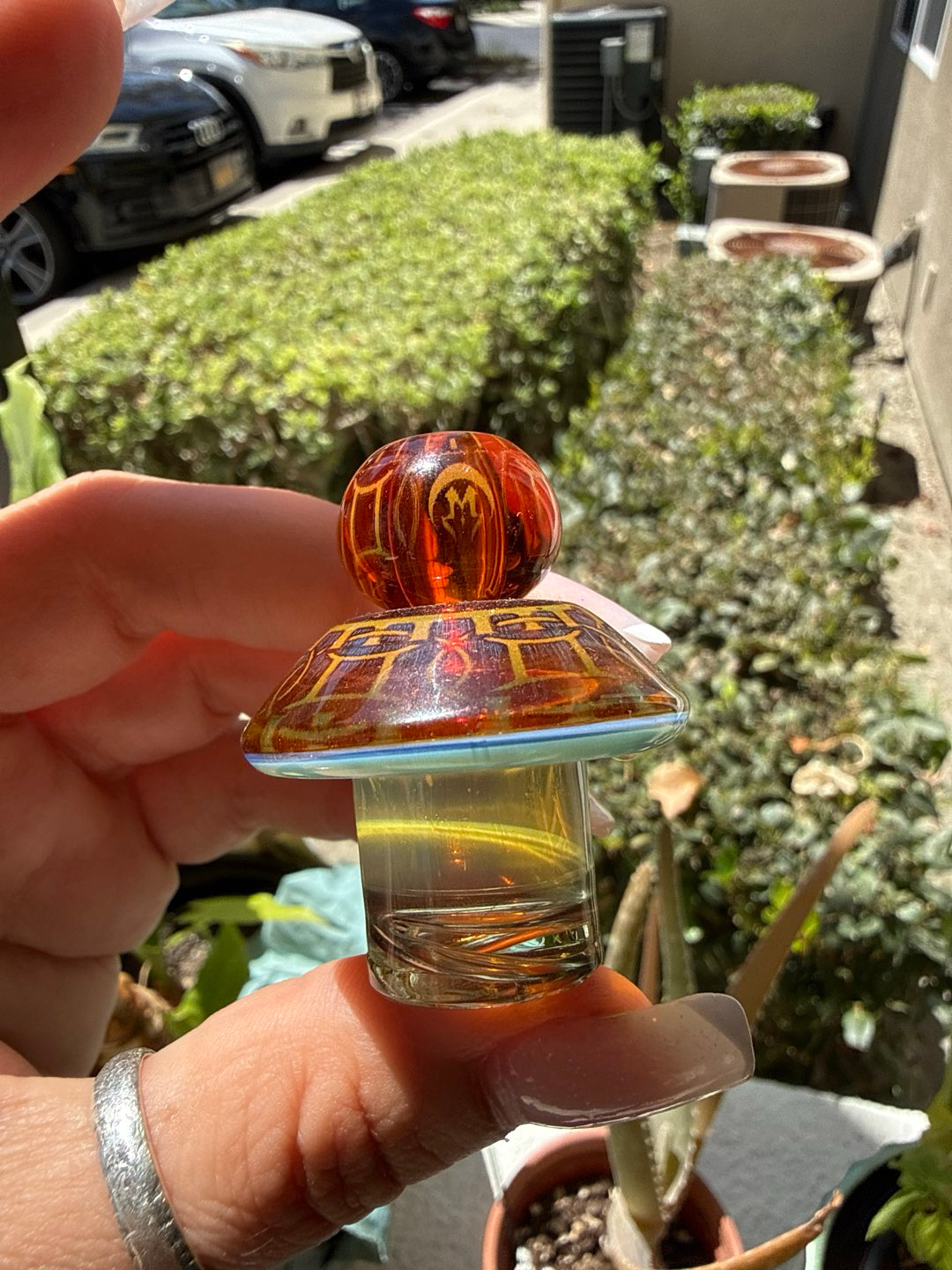 Preview pic of Mothership cap for bigger buckets
