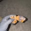 Small image 7
