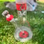 Small image 6