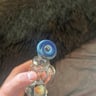 Small image 4