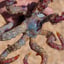 Small image 7