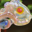 Small image 5