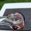 Small image 6
