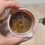 Small image 6