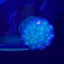 Small image 6