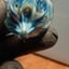 Small image 2