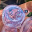 Small image 8