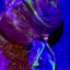 Small image 8