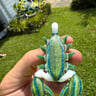 Small image 2