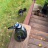 Small image 2