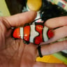 Small image 0