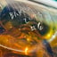 Small image 6
