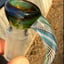 Small image 5