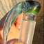 Small image 9