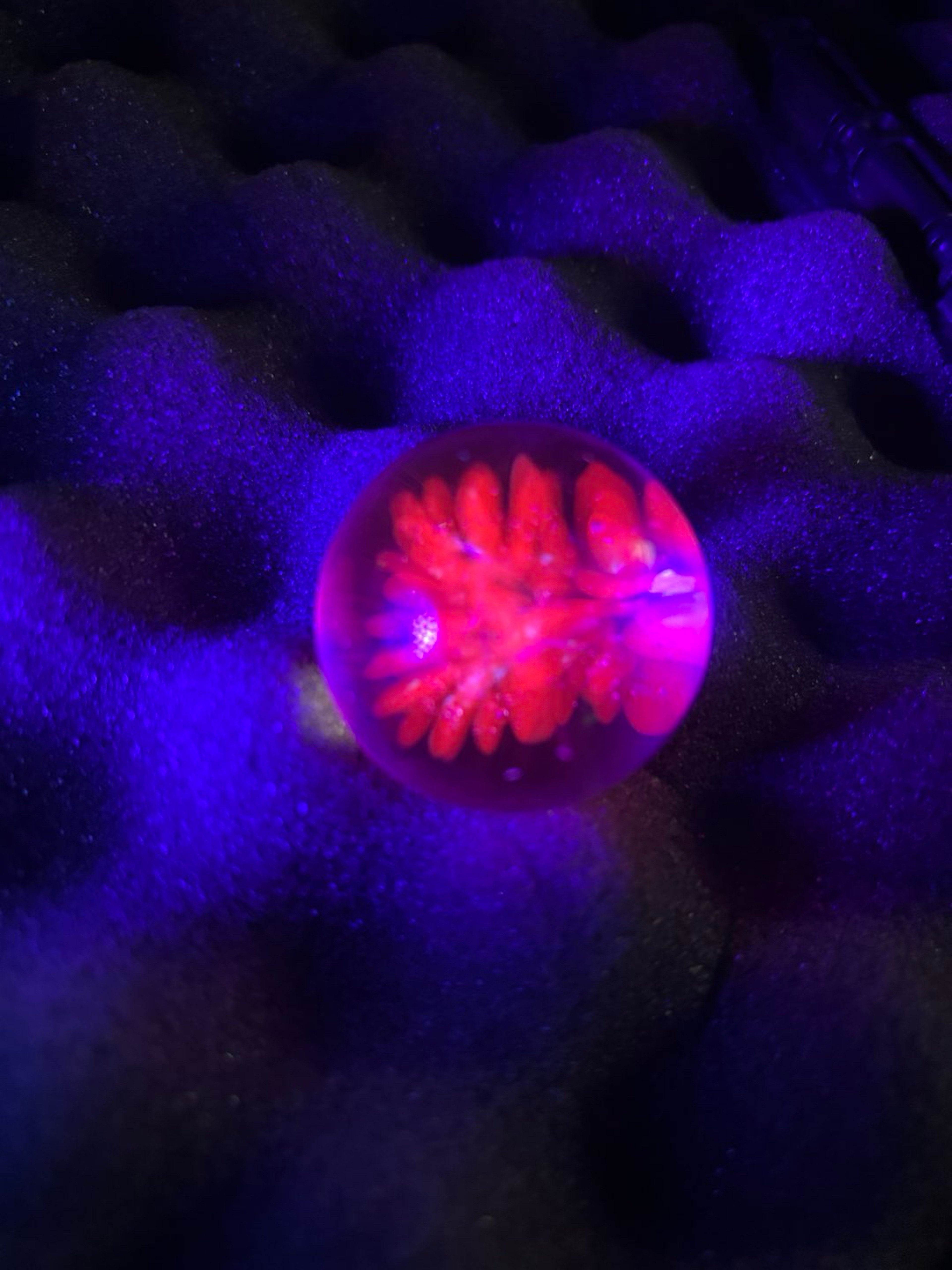 Preview pic of Punk Cadillac implosion marble