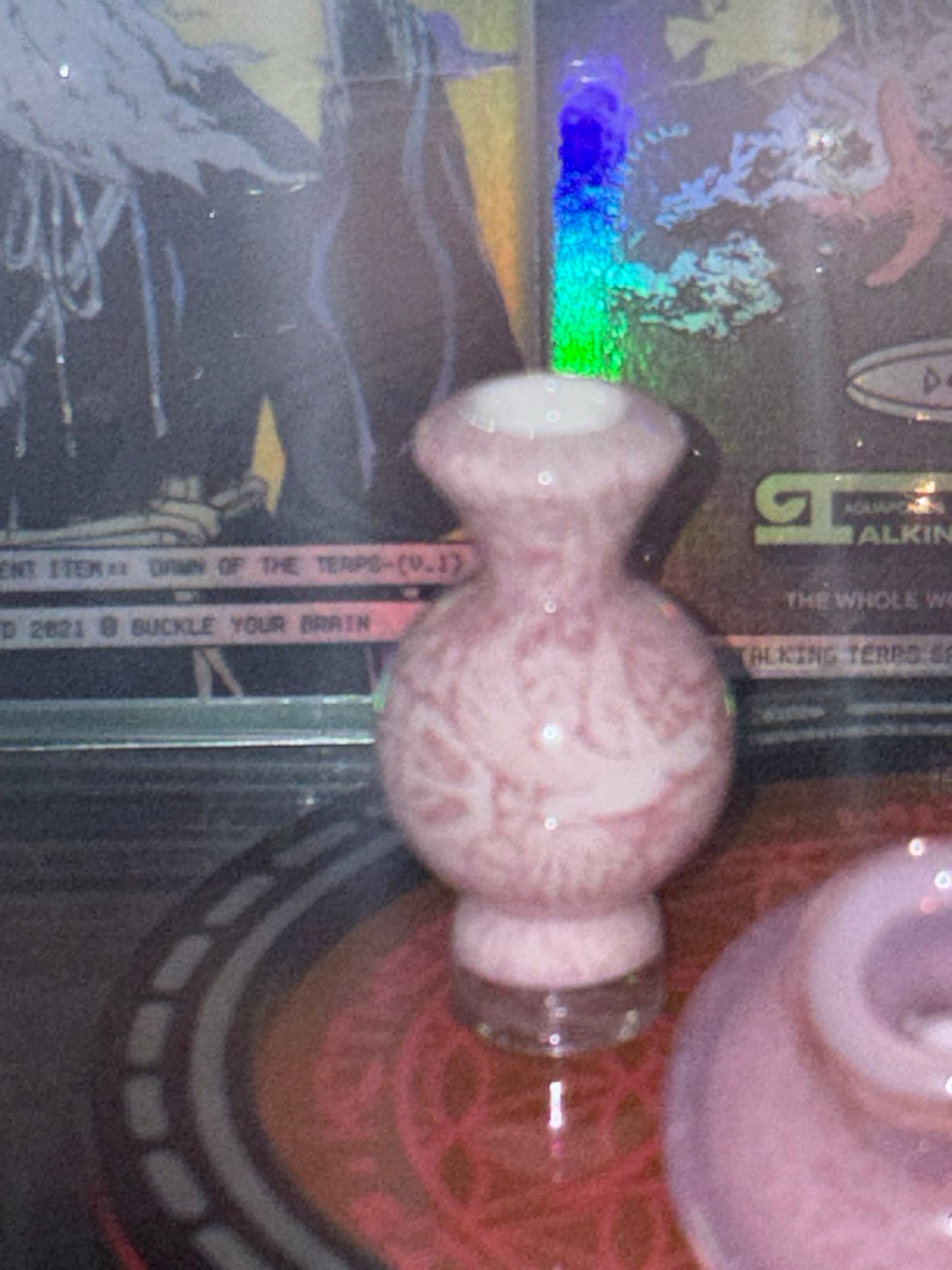Preview pic of Pink over white ms birds and botanicals cap