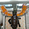 Small image 1