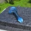 Small image 8