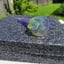 Small image 7
