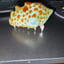 Small image 7