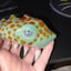 Small image 1