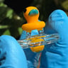 Small image 3