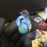 Small image 2