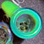Small image 8