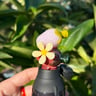 Small image 4