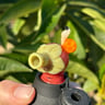 Small image 4