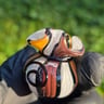 Small image 3
