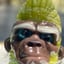 Small image 0