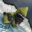 Small image 7