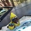 Small image 6
