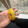 Small image 0