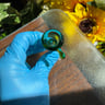Small image 3