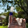 Small image 2