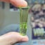 Small image 6
