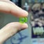 Small image 9
