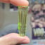 Small image 4